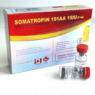 Somatropine en ligne